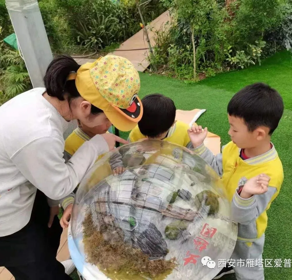 ����عˡ����ն��׶�԰�а�����ѧ��ʵ�߽���δ��