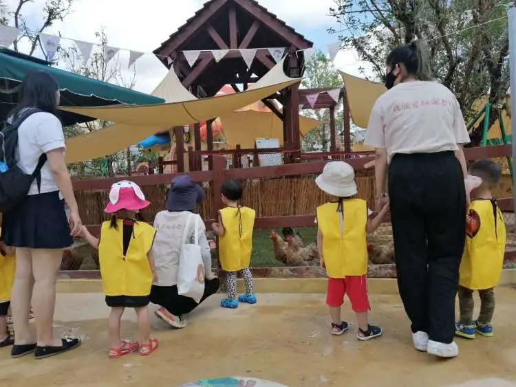 深圳又一遛娃胜地，城市中的自然成长乐园，野趣精致的户外营地
