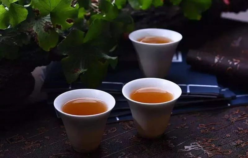 茶究竟是什么？10个角度深度剖析茶，带你轻松入茶道