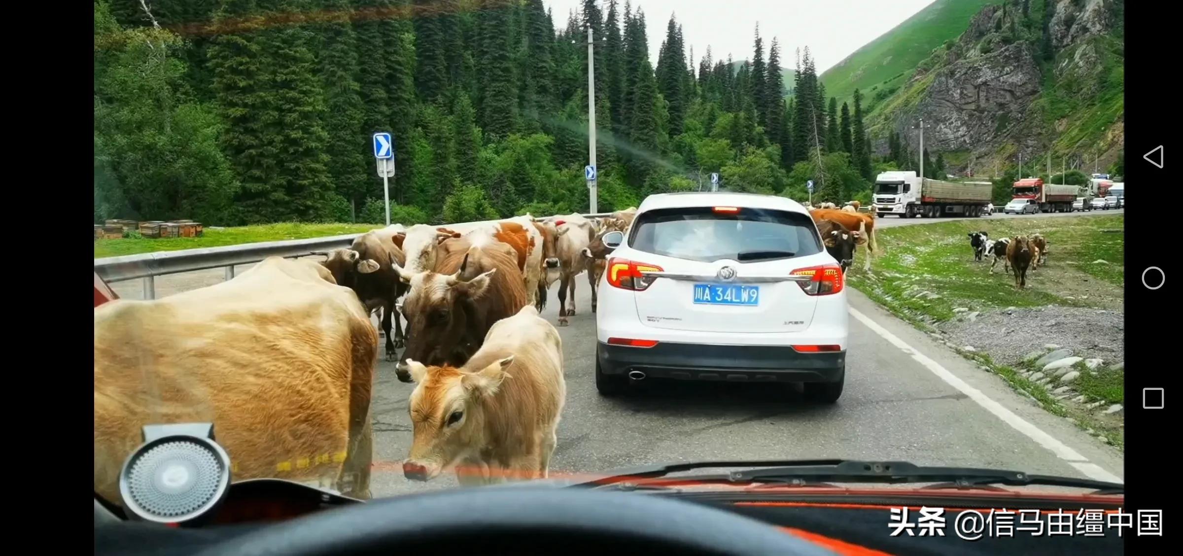 独库公路百走不厌的景观大道，今生有幸走两遍南段后只有返回家了