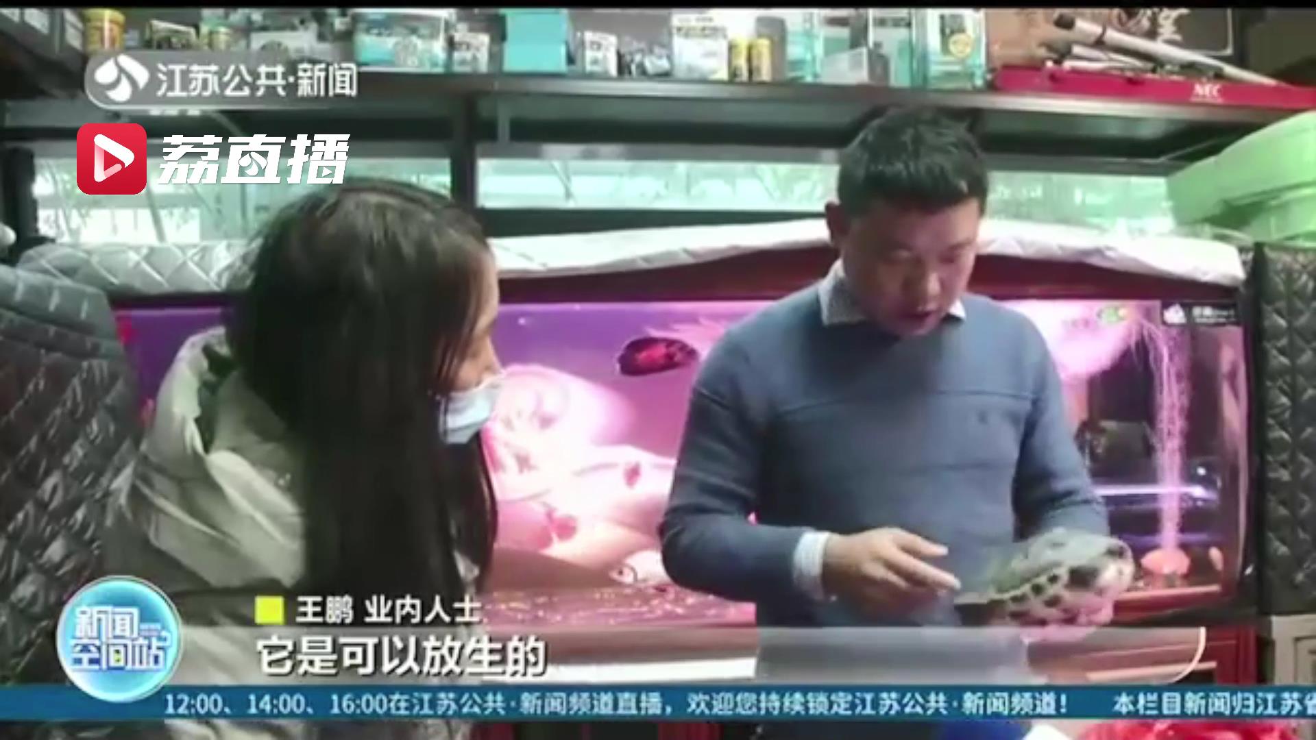 市民买到只两斤多重乌龟酷似外来物种 放生前求鉴定还好虚惊一场