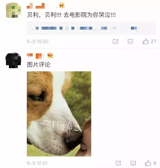 准备好纸巾!「一条狗的使命2」来了