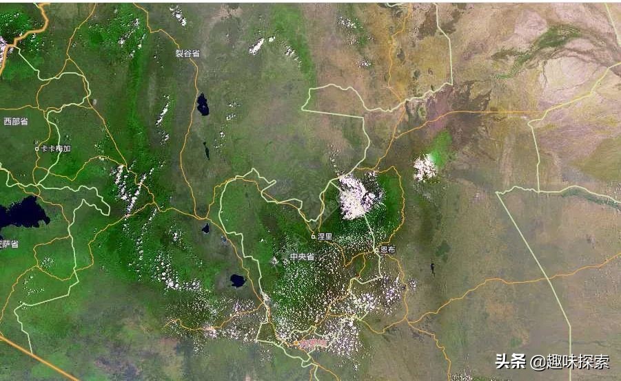 因水位每天上漲15厘米，九隻長頸鹿被困孤立島嶼，麵積僅8英畝