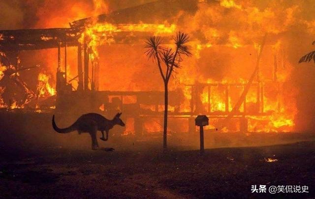 大火刚扑灭，澳大利亚又遭“天打雷劈”，百万道闪电狂劈悉尼