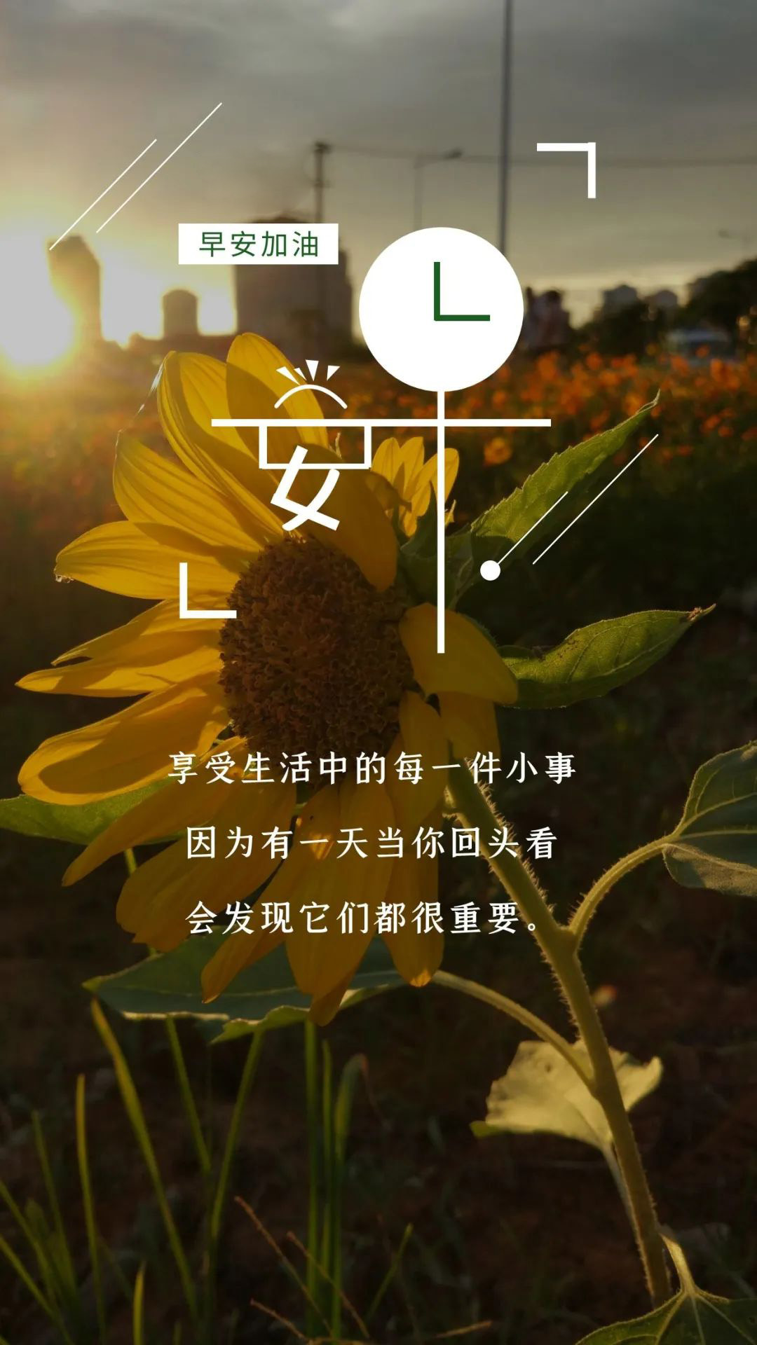 2021簲־ͼƬ֣ģֱǰ