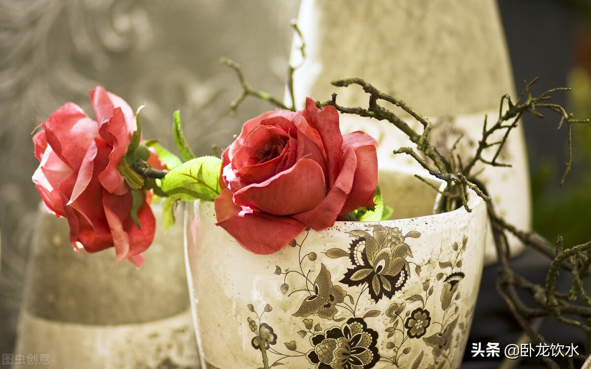 龍虎鬥系列 青龍男燕翎想明白一個道理 只有會撒謊才能迷惑女人 卧龍飲水 Mdeditor