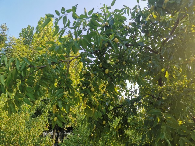 疑似在贵阳被拐卖的男孩寻找亲生父母岁月蹉跎二十九载何时能团聚