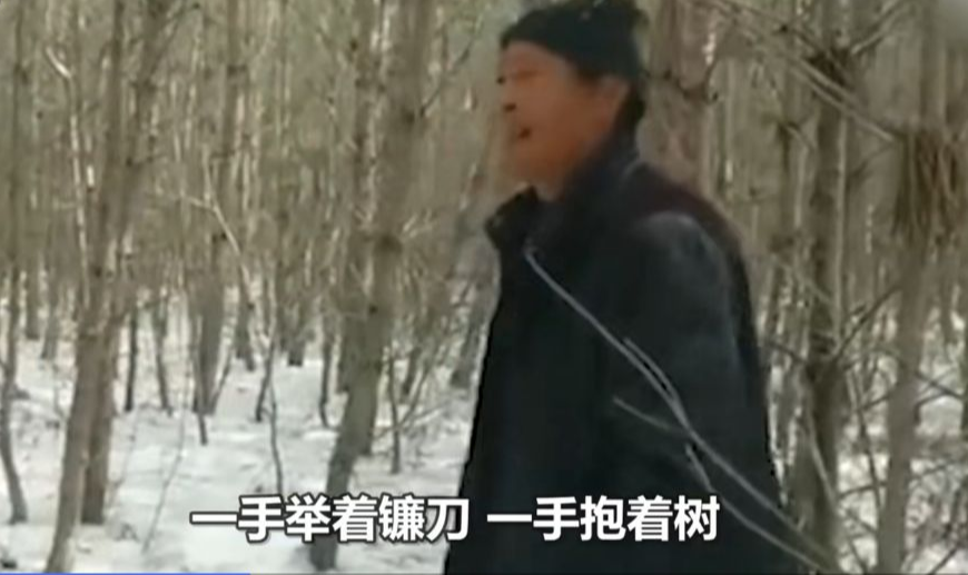 深山遇猛虎，黑龍江一老漢與虎兩米對峙，教科書般操作后全身而退