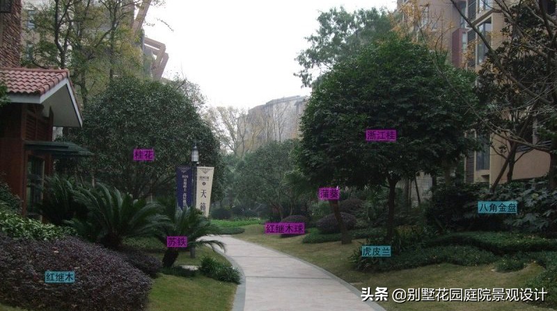 別墅庭院常用植物分享，附照片及名字標(biāo)注（珍藏版）