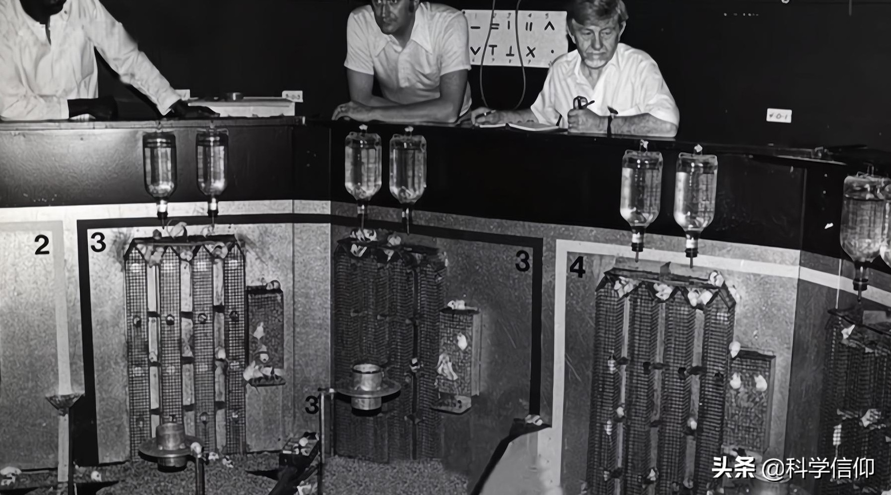 人人向往無憂無慮的生活，若真實現了會怎樣？有人早已做過實驗