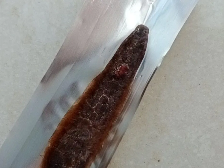 新型合成毒品:“红冰”
