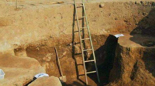 河北村民猪圈神秘丢猪，无奈只好报警，专家赶