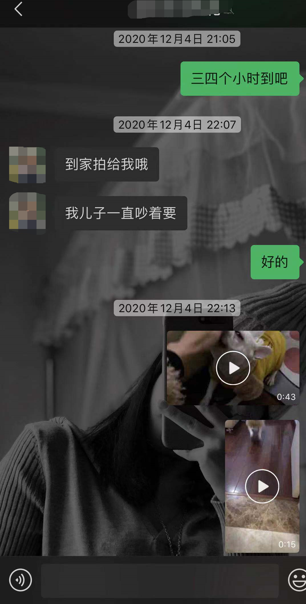 杭州领养黑名单胡某，咸鱼领养，钟爱法斗
