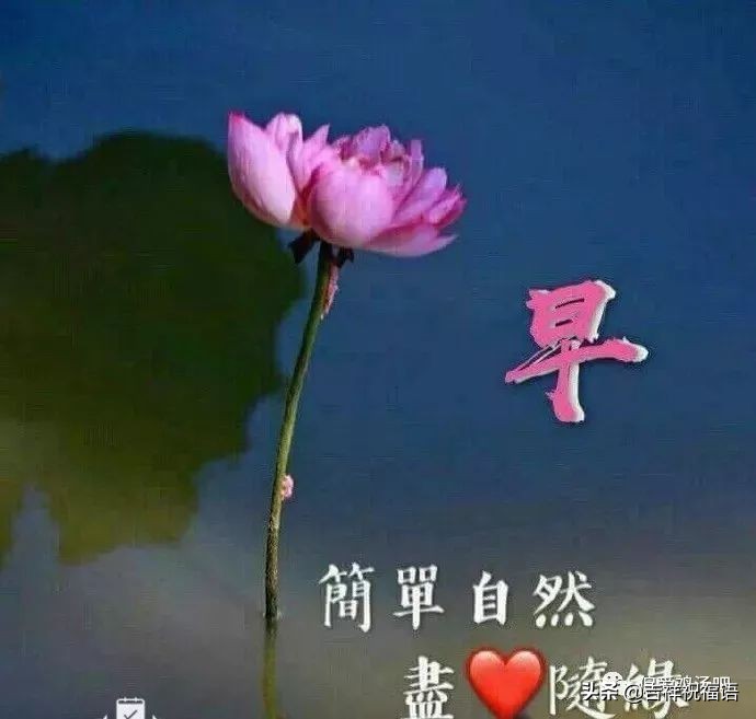 早上好动态图片带字和鲜花 早上好图片大全图片