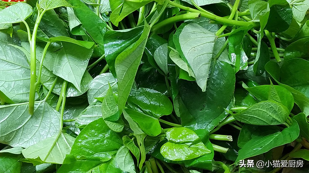 秋天这菜可以多吃，做法简单，口感脆爽，味清香清，吃完不会胖