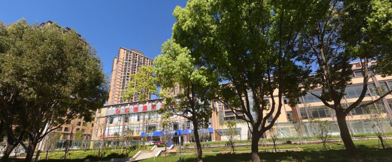 “坑妈”的烂尾项目，昆明云润天阳项目公司破产重整