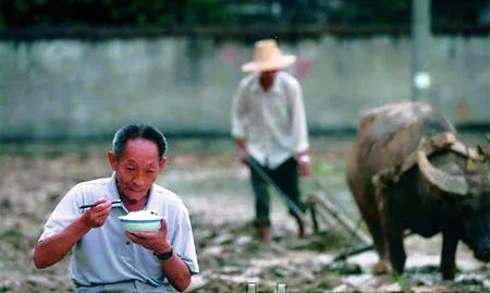 90岁袁隆平：你们吃饱了，我也变老了-第15张图片-大千世界