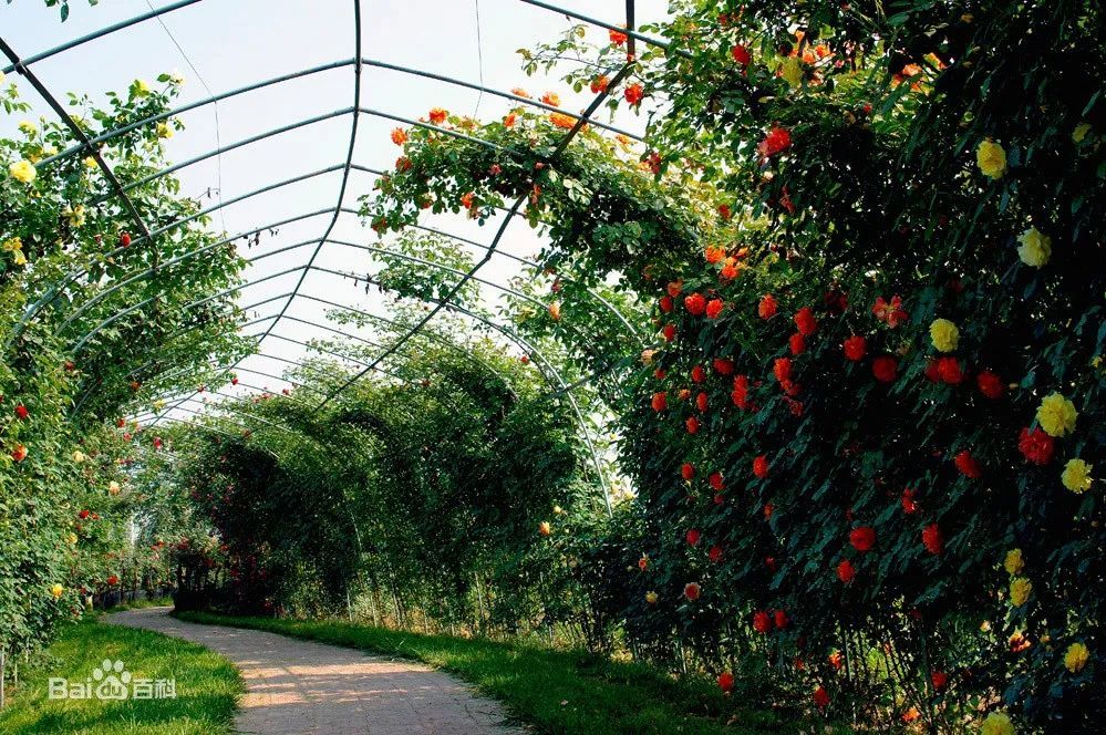 �׽����������Ļ����ν����湥�ԡ�ʯ����