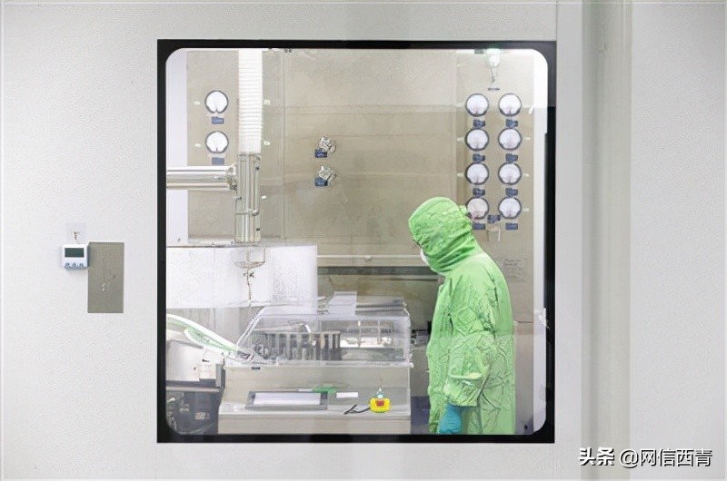 滨海新区龙头引领 打造若干百亿级产业集群 涵养生态 天津生物医药产业枝繁叶茂