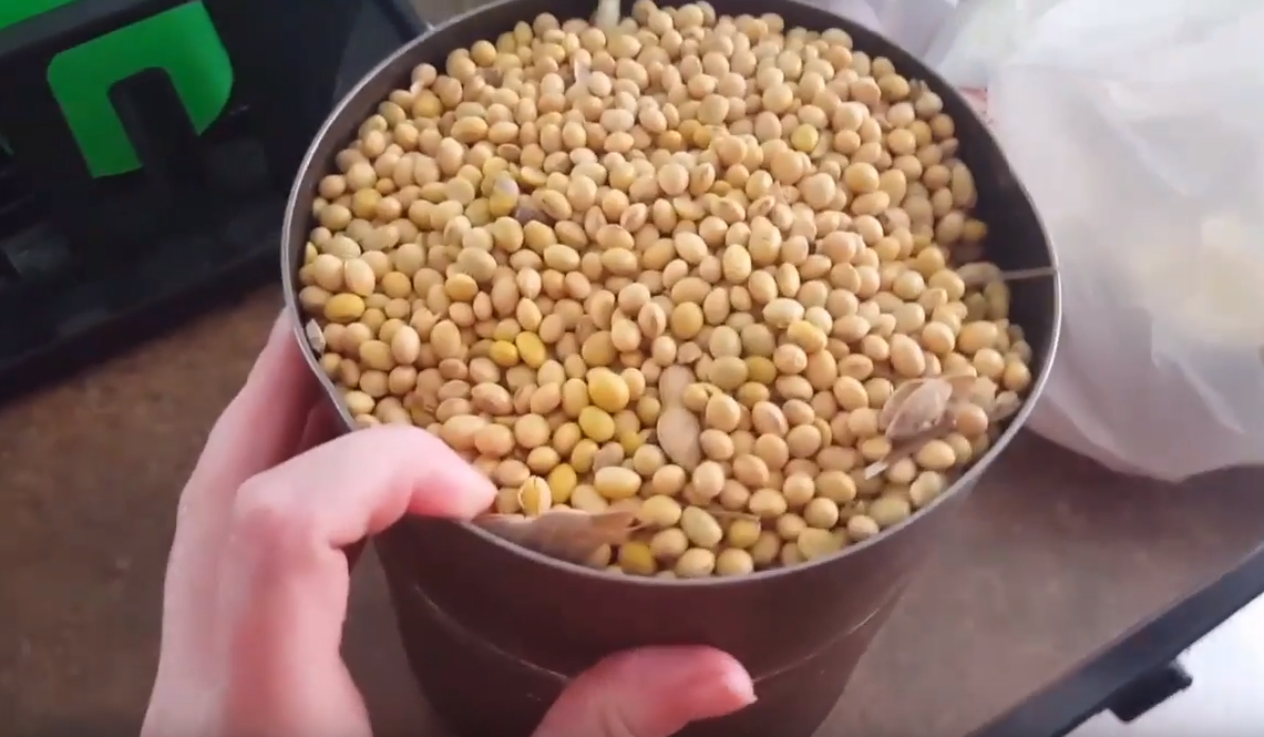 俄罗斯意外宣布：大豆涨价30％！对华出口370万吨目标或泡汤