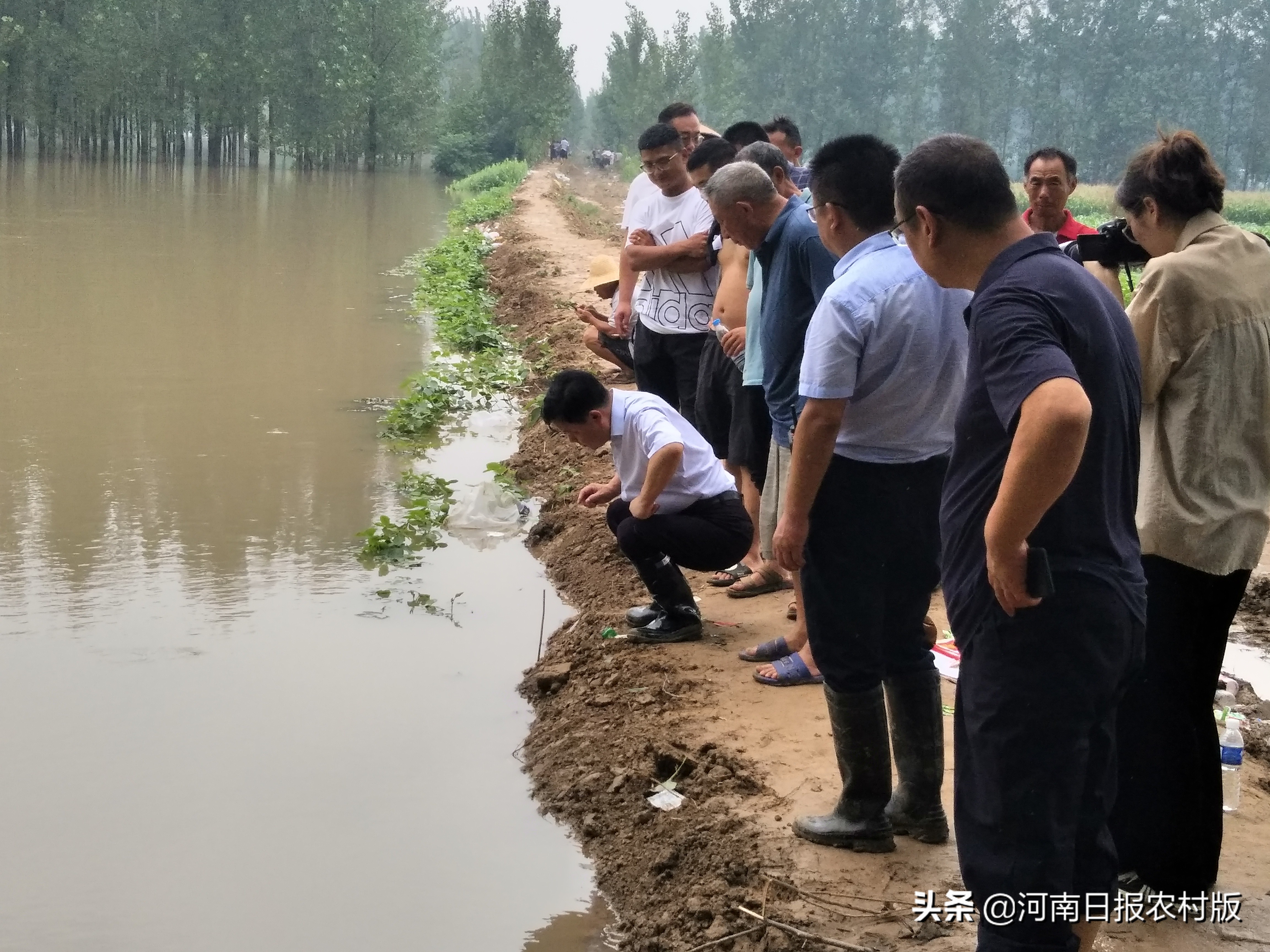 扶沟：打好防汛救灾“整体战”