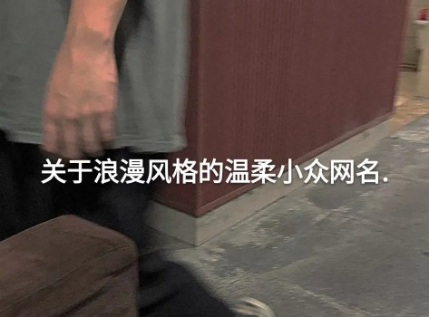 温柔又烂漫的网名