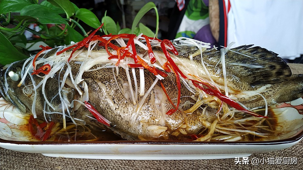图片[3]-清蒸石斑鱼 只要掌握好3个技巧 做出来鲜嫩多汁好吃 没有腥味-起舞食谱网