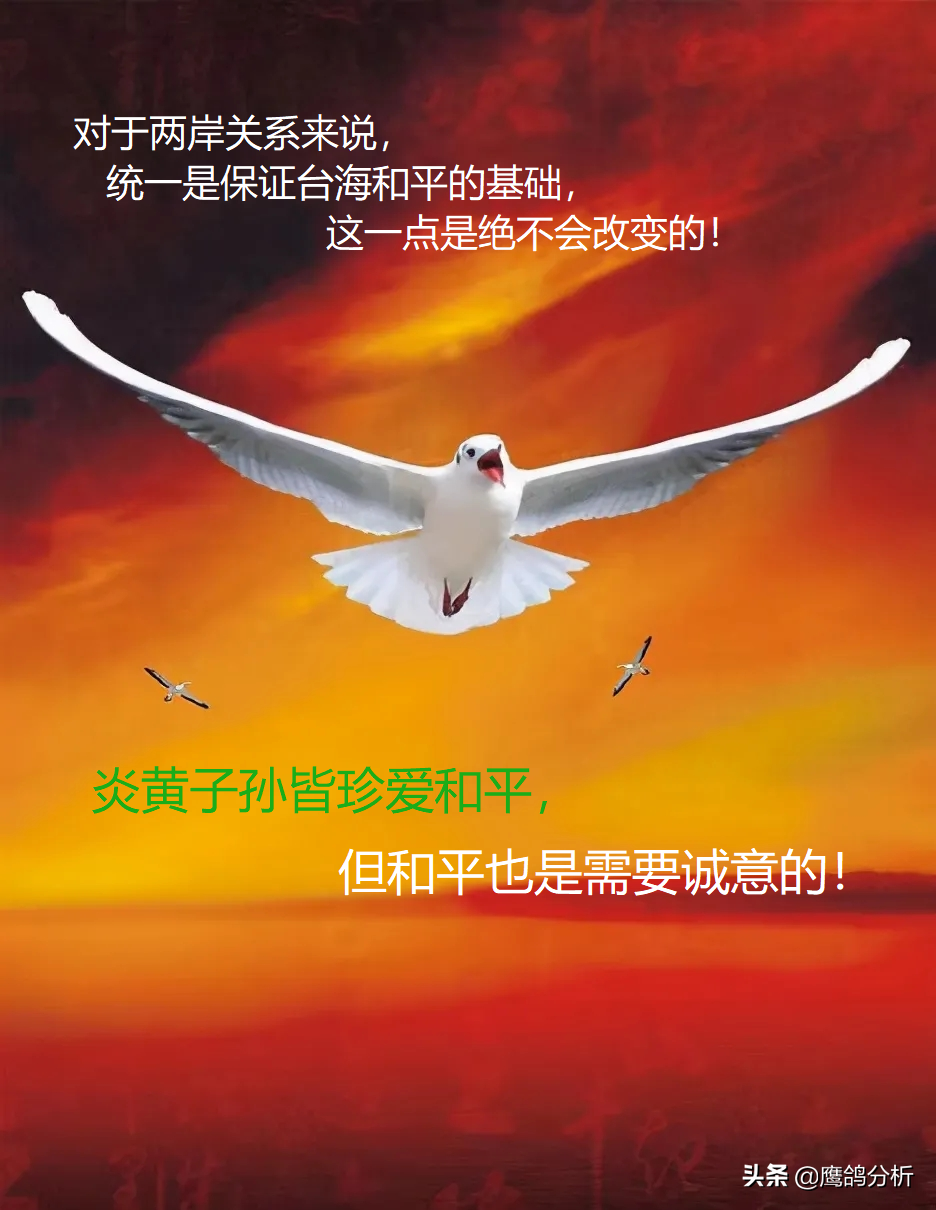 只講和平不談統一的論調必須被終結，祖國統一是台灣唯一的出路