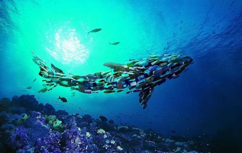 多米深的马里亚纳海沟也有塑料垃圾 如何沉入海底的 Zh中文网