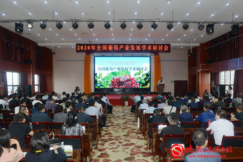 合陽縣2020年農民豐收節(jié)產銷對接會成功舉辦 簽約9個項目 金額達1.2億元（組圖）