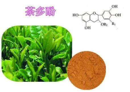 喝茶到底有益健康嗎？ 喝紅茶好，還是綠茶好？