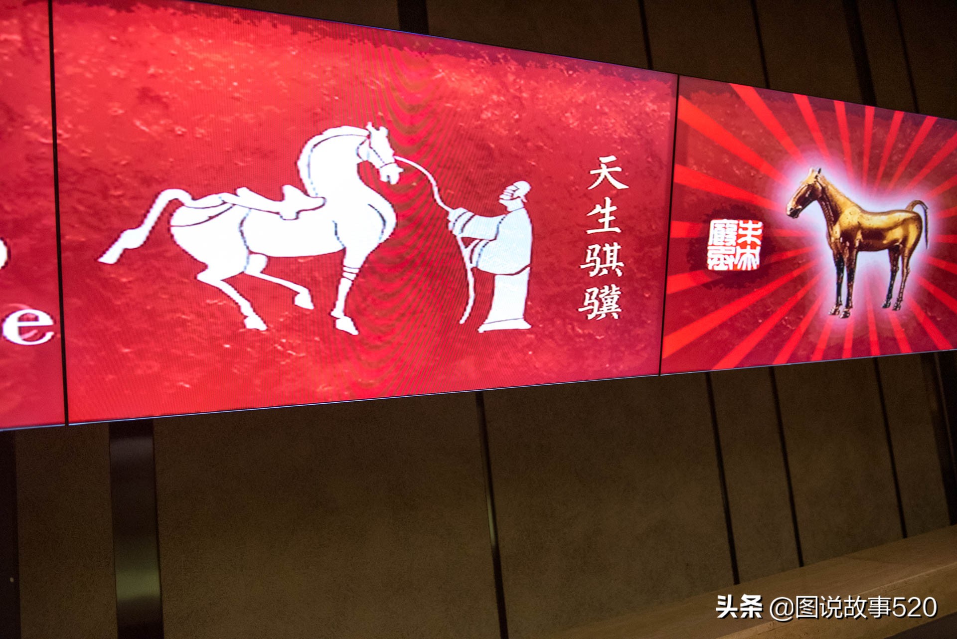 汗血寶馬多少錢一匹,純種汗血寶馬多少錢一匹