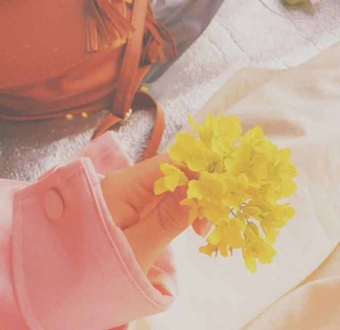 说说|很棒的朋友圈晚安说说句子,温柔阳光句句获赞