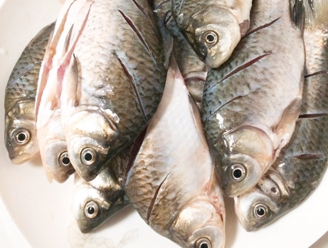 After autumn, I met a fish that I never bargained. I bought it for 5 catties. It was very nutritious and fragrant.