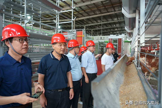 中國農(nóng)業(yè)大學四川晟興教授工作站正式成立