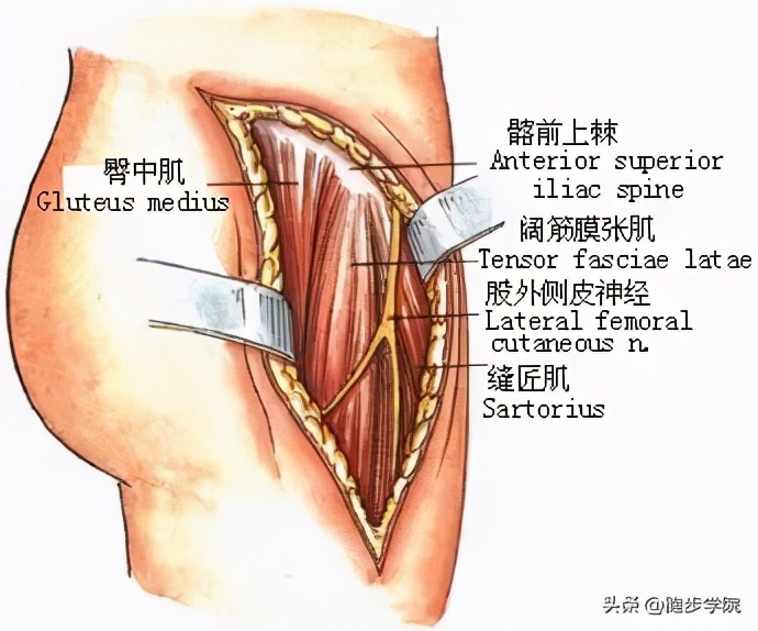 一运动身体就咔咔响，听着都慌