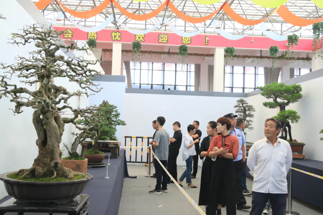 大饱眼福，第八届中国沭阳花木节竟如斯出色！你想看的全在这里…