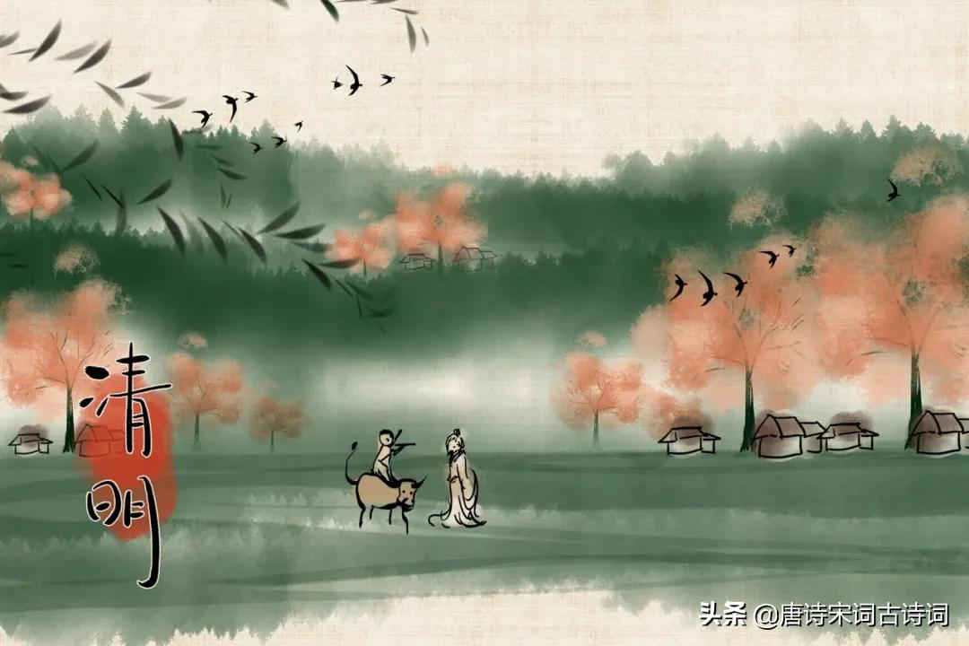 杏花·春雨·清明-第2张图片-诗句网