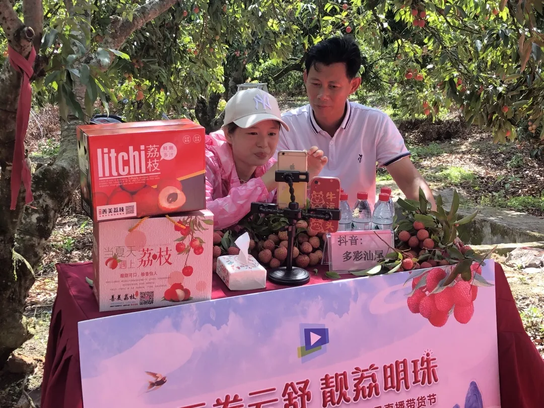 赞!手机变“新农具”,陆丰荔枝果园变“直播间”