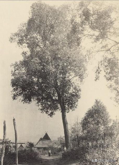 1922年的西双版纳的景洪老照片 一览百年前西双版纳美丽风景