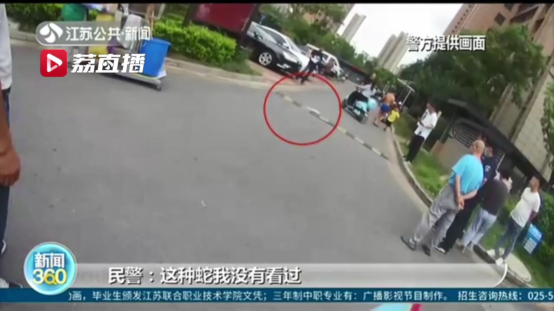 &ldquo;白娘子&rdquo;17楼的家中出逃吓坏邻居 警民合力助它归家