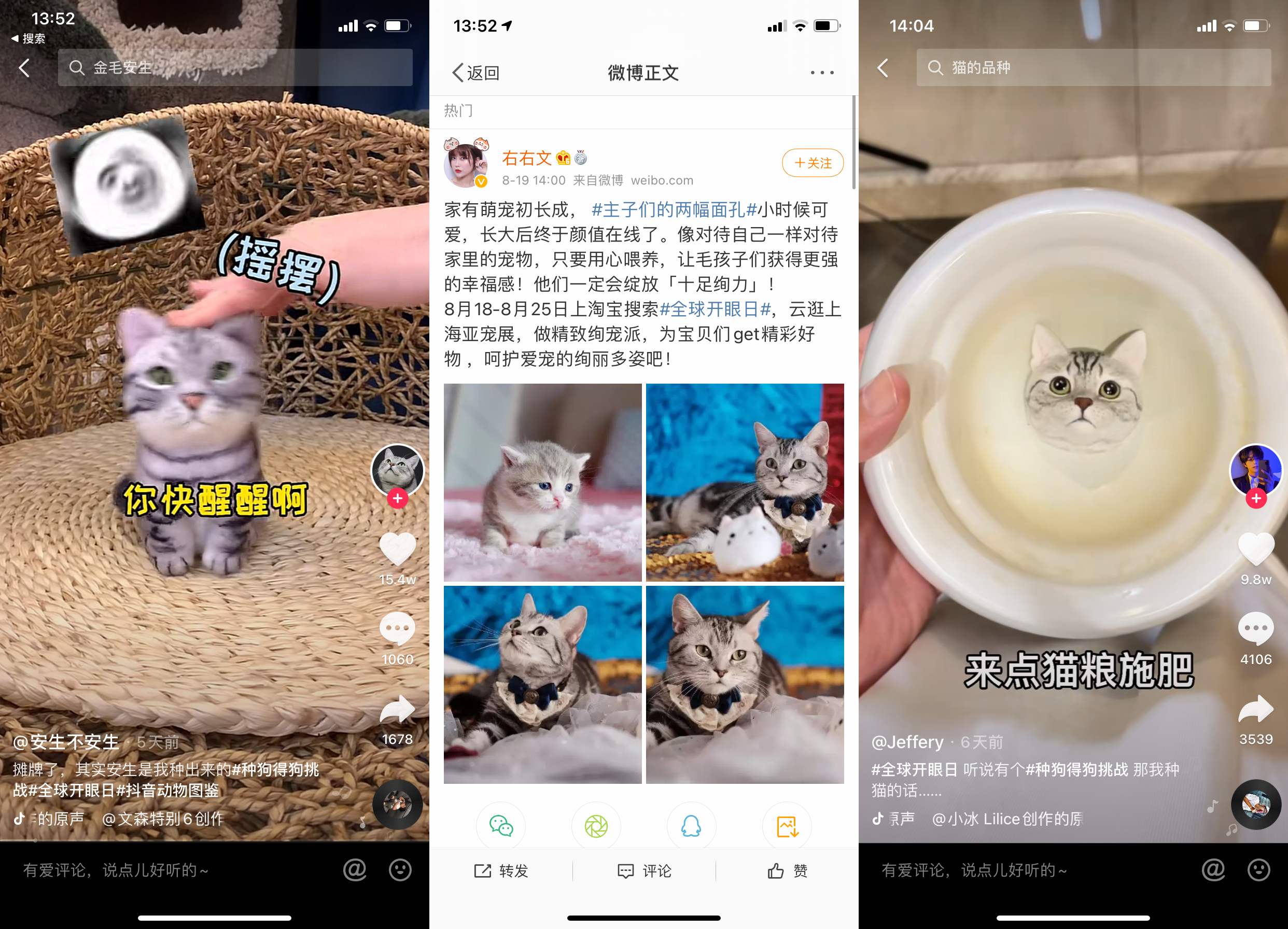 天猫国际全球开眼日：掀起“绚宠”热潮 引领宠物新消费