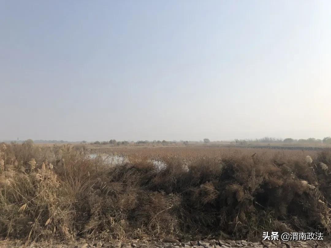 合阳检察联合多部门保护“母亲河”（组图）