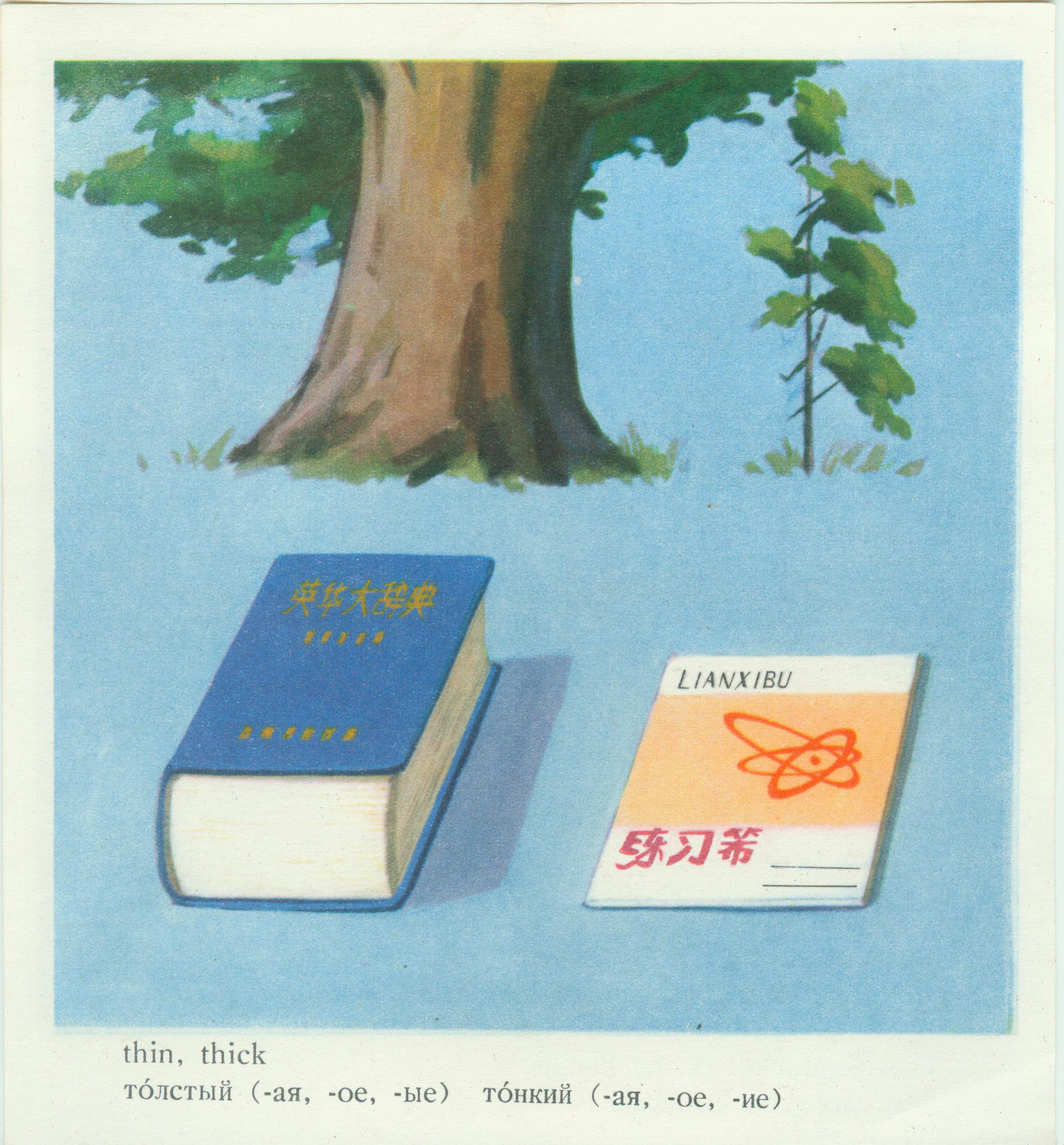 五十年代小学英语学习卡片（上）