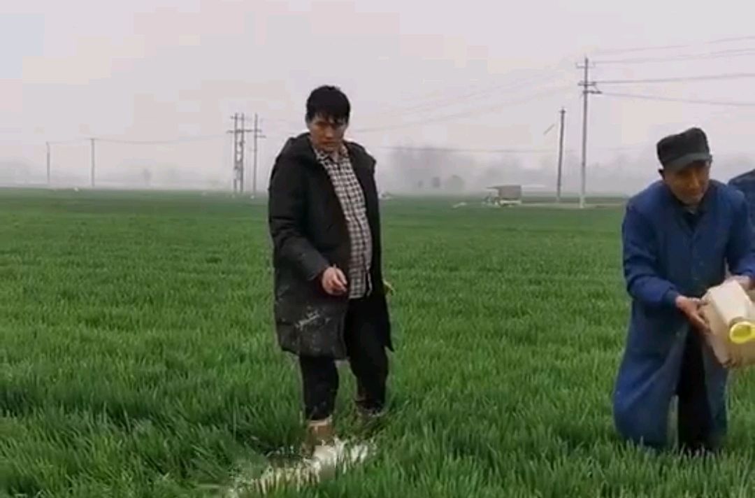 大衣哥朱之文成名后却他一直备受欺负，然而他