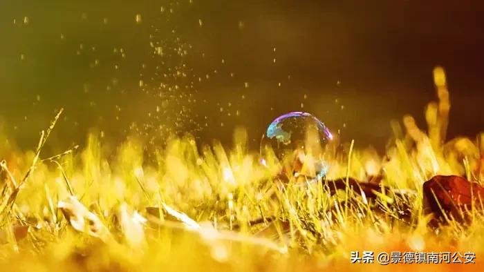 诗词|杜牧安慰朋友,写下一首豁达诗,苏轼朱熹也来“抄袭”,7字写尽人世悲凉