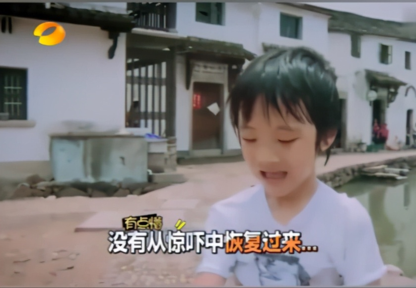 重溫《爸爸去哪兒》名場面，都是小機靈鬼啊