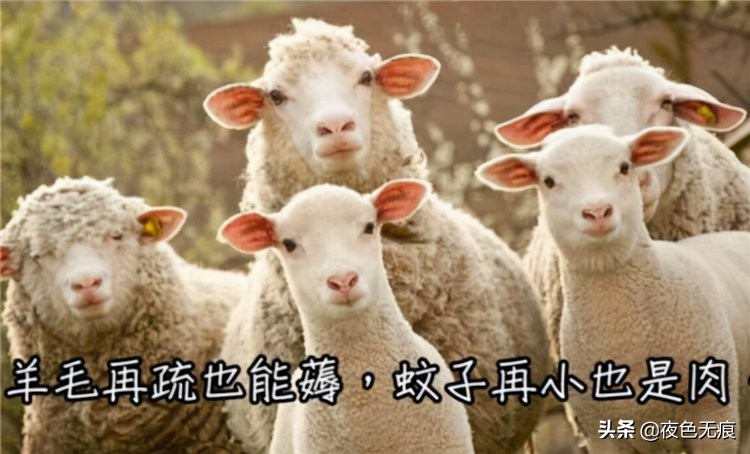 日本72岁大爷薅羊毛上瘾，入股九百家公司，凭优惠券生活34年