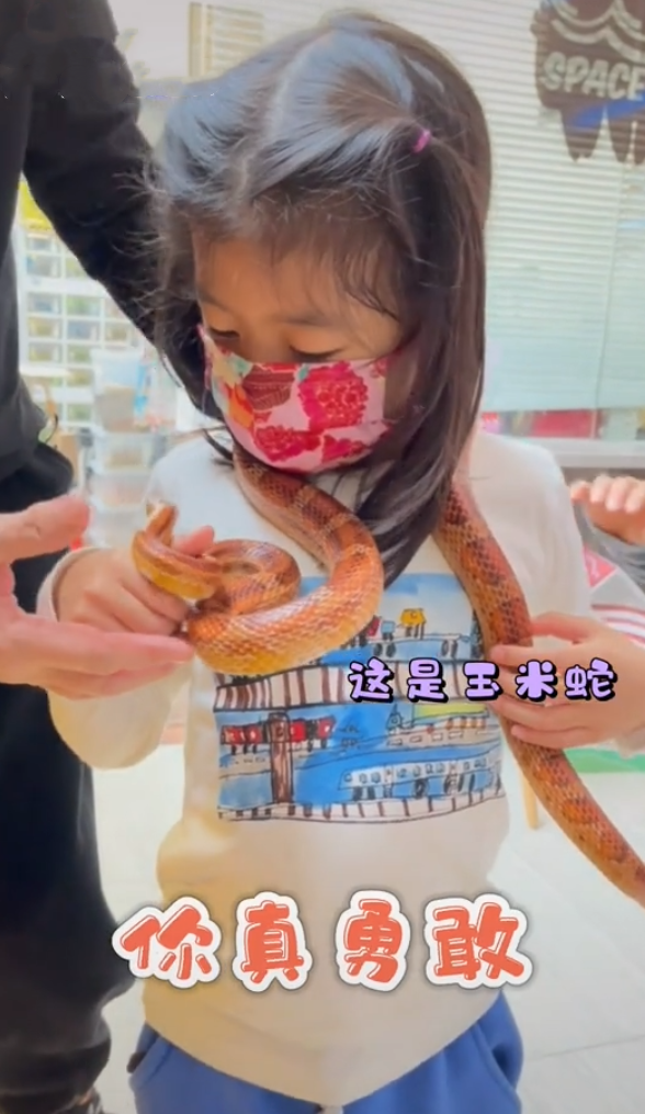 服！ 章子怡5歲女兒接觸冷血動物，醒醒徒手抓蛇摸蜥蜴超淡定