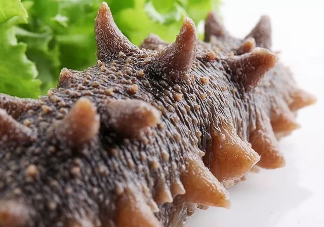 æµ·é²è¿æåçé£çäººè½åæµ·ååï¼